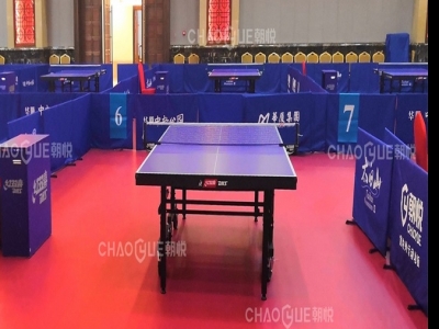 乒乓球（qiú）案例